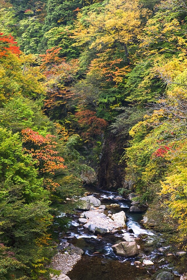 到鬼怒川浸溫泉,感受不一樣的箱根紅葉 到鬼怒川浸溫泉,感受不一樣的箱根紅葉