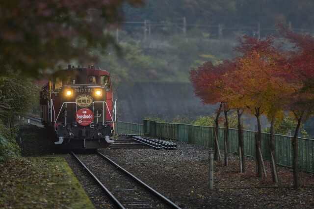來到嵐山欣賞紅葉，絕對不能錯過這裡最有名的嵐山小火車