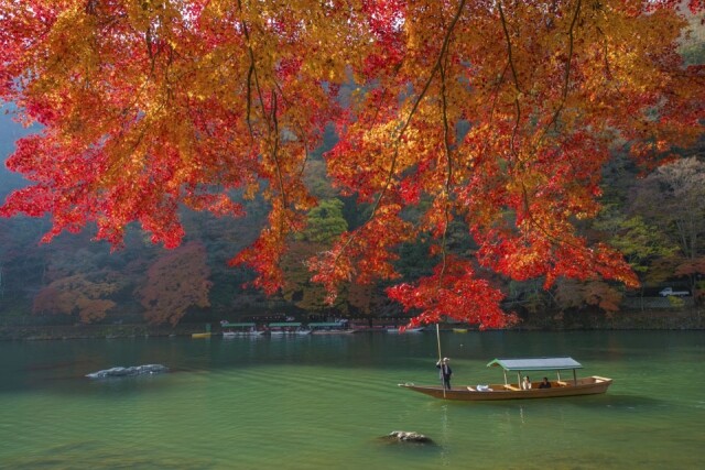 嵐山每年 11 月第 2 個星期日更有嵐山紅葉祭，代表天龍寺、野宮神社