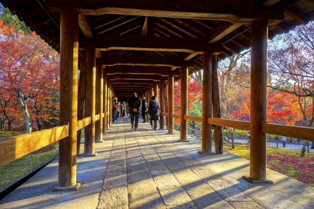 東福寺的「通天橋」是京都賞楓必到景點之一