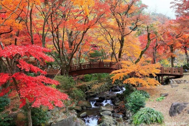 紅葉季又到！私心推介 5 個日本賞楓秘景