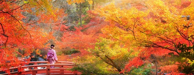 避開人潮!私心推介 5 個日本賞楓秘景 避開人潮!私心推介 5 個日本賞楓秘景