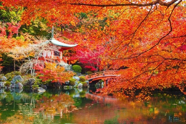 紅葉季又到!私心推介 5 個日本賞楓秘景 紅葉季又到!私心推介 5 個日本賞楓秘景