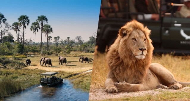 非洲 Safari 奢華旅遊景點推薦：看野生動物、住奢華大帳篷、乘直升機飛越瀑布