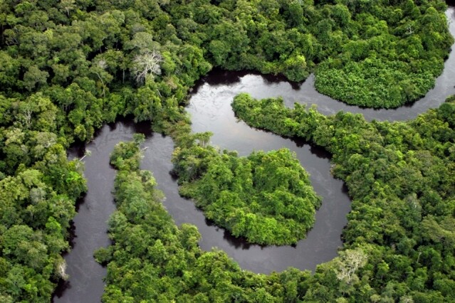 巴西亞馬遜雨林（The Amazon, Brazil）
