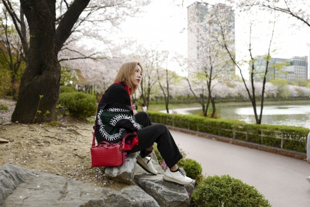 月前出遊首爾正值櫻花盛放時。