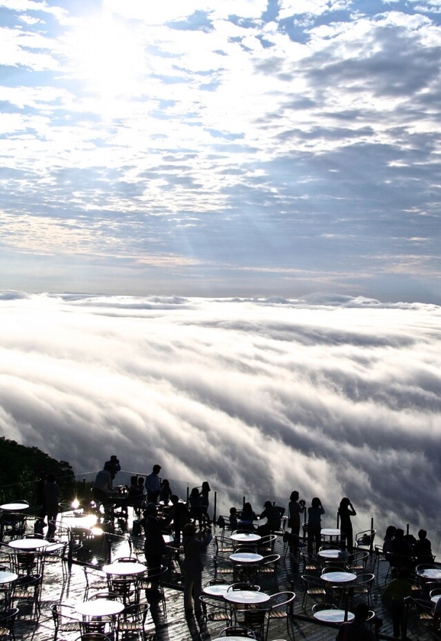 從星野 Tomamu 度假村的山下乘上纜車，可抵達高 1,088 公尺的「雲海平台」。