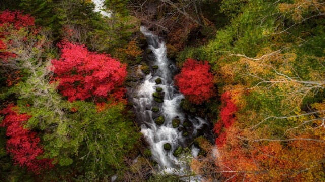 紅葉襯托下的北海道活火山阿寒湖是一大奇觀。