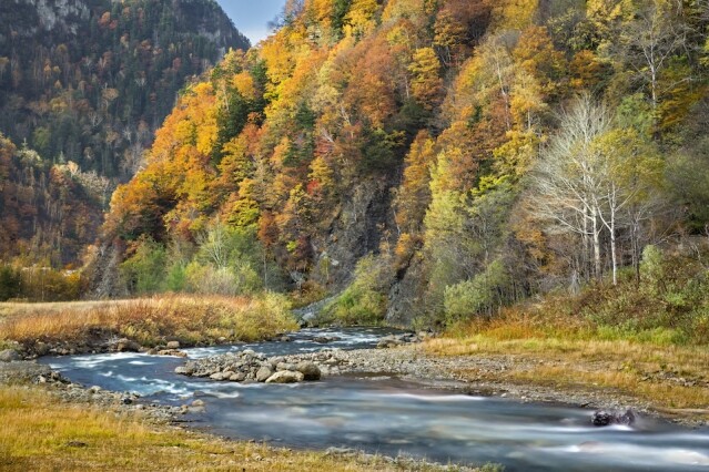 登上北海道赤岳、黑岳賞楓，飽覽壯觀的紅葉景致