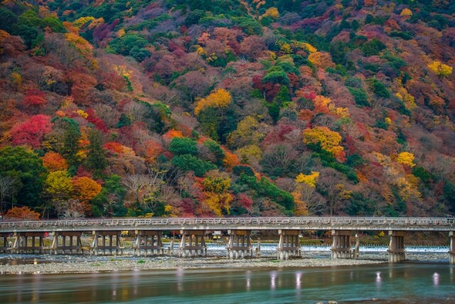 京都紅葉景致如詩如畫