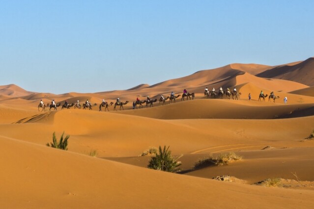 騎著駱駝，徐徐地步入浩瀚的撒哈拉沙漠。