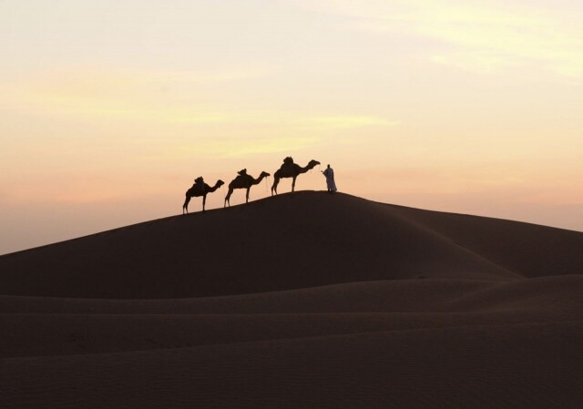 到達沙漠後，你便要立刻抓緊時間，尋找好位置，看著夕陽緩緩沉落於沙海中。