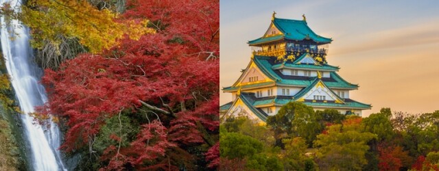 大阪紅葉 2019：走遍歷史名勝、日式庭園、古寺妝點下的日本楓葉