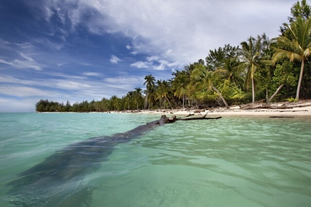 沙巴好去處出島之選：美人魚島 Mantanani Island