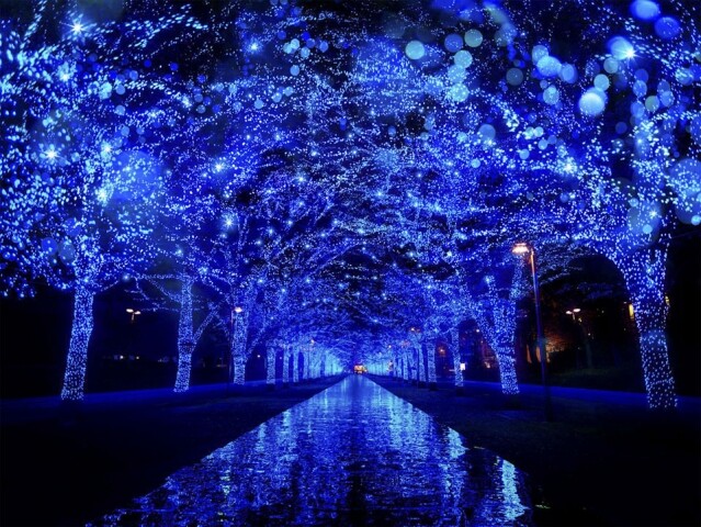 涉谷的青之洞窟 Shibuya 點燈活動， 並沒有聖誕節必備的聖誕樹