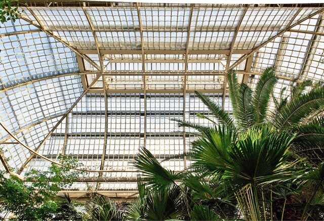 美泉宮內的棕櫚屋展示了來自地 5 大洲的植物