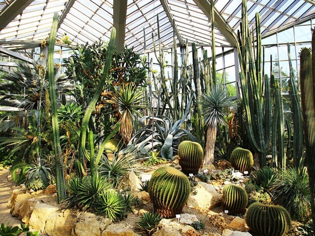 法蘭克福棕櫚園內的 Palm House 是歐洲最大的溫室之一