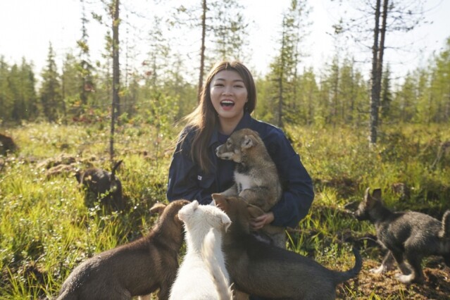 在 Husky Farm 與 Husky 寶寶在北歐森林散步,下午去探索 Igloo 在 Husky Farm 與 Husky 寶寶在北歐森林散步,下午去探索 Igloo