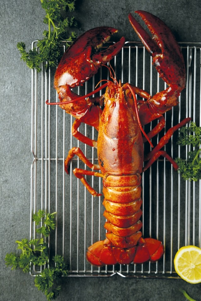 美式海鮮餐廳 Red Lobster 呈獻 3 日情人節套餐及外賣