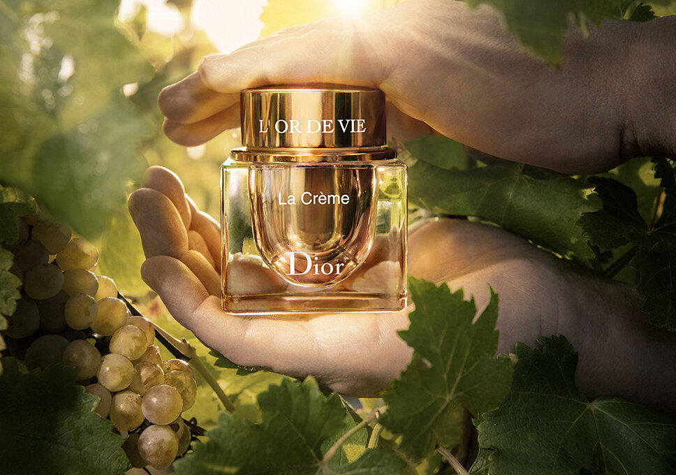 雙倍濃度配方傾注奢華 Dior L'Or de Vie La Crème 極緻奢華乳霜